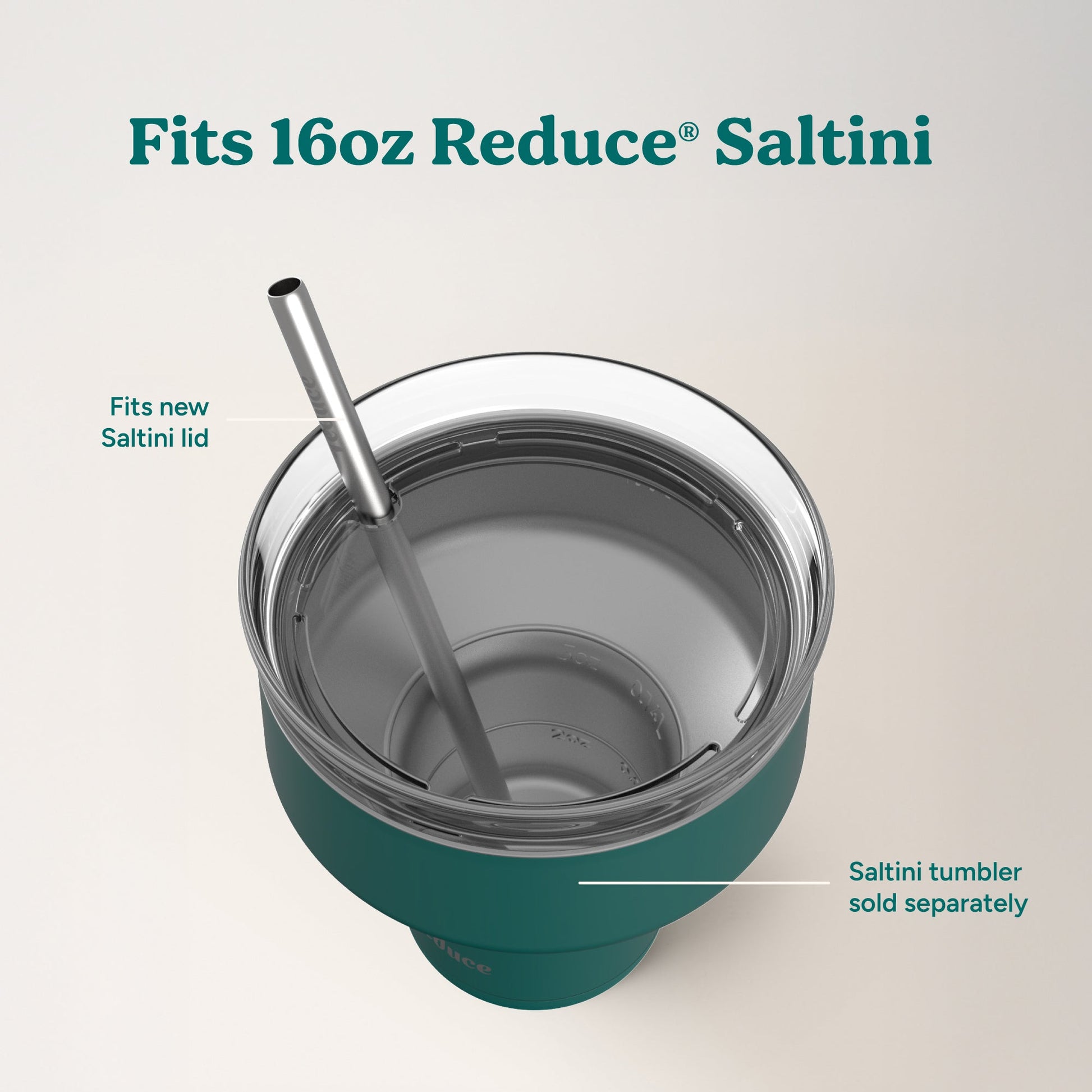 saltini-straw-set-l3 4PK_SaltiniStraws_SS-4.jpg