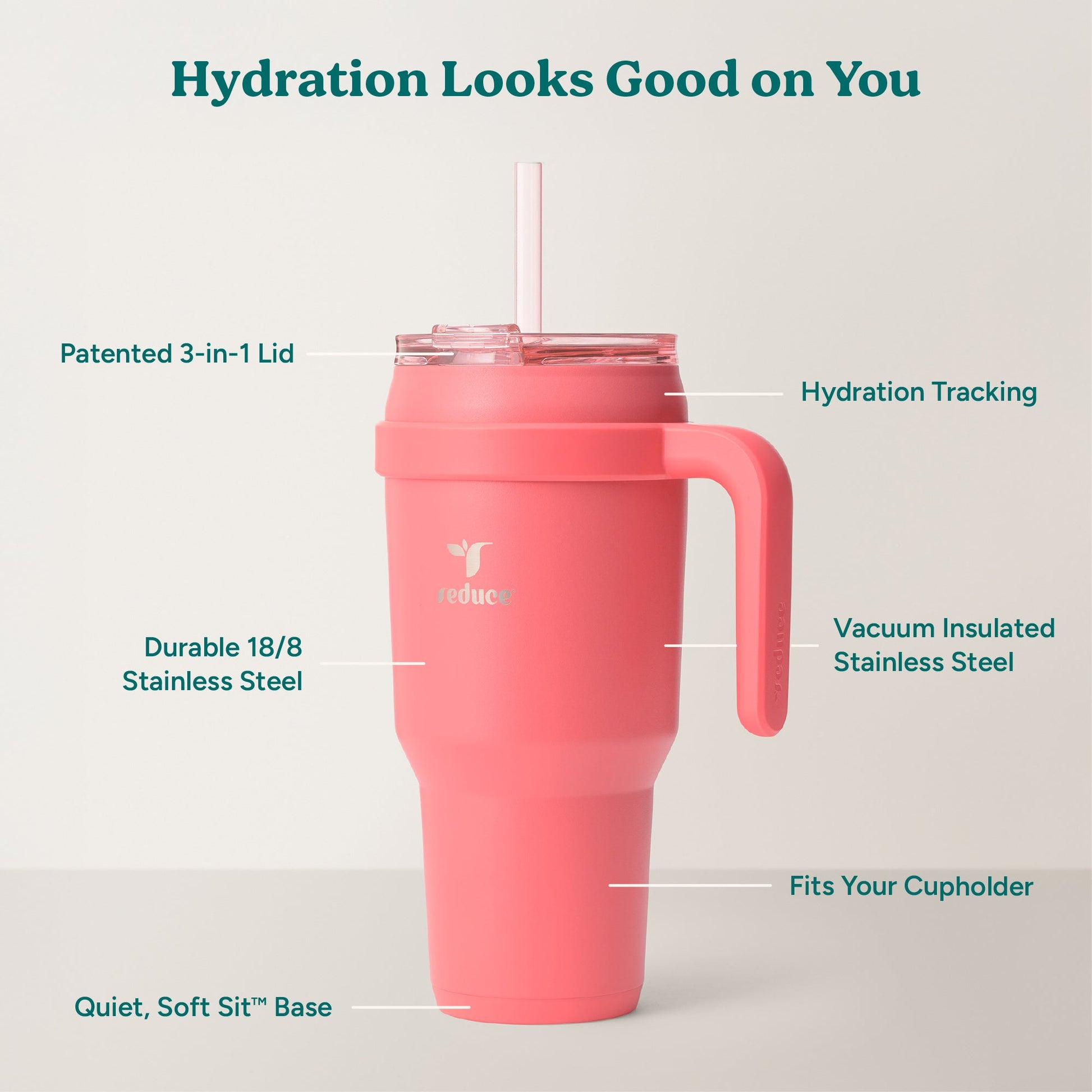 cold1-40-oz-e4 Cold1_40oz_Daiquiri_Infographic_2.jpg