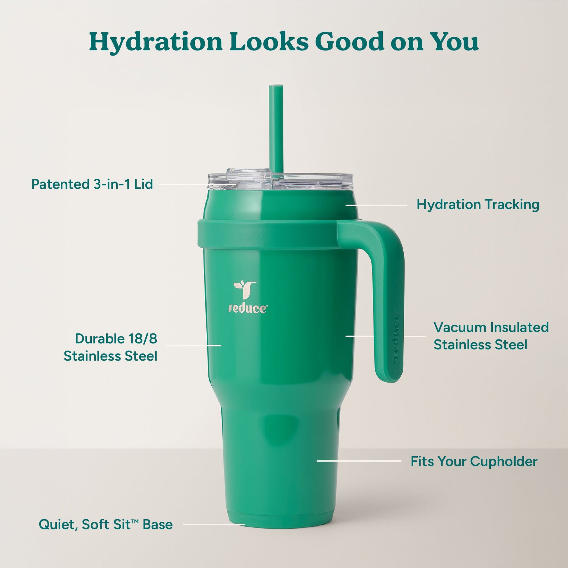 cold1-40-oz-e4 Cold1_40oz_PalmLeaf_Infographic_2.jpg