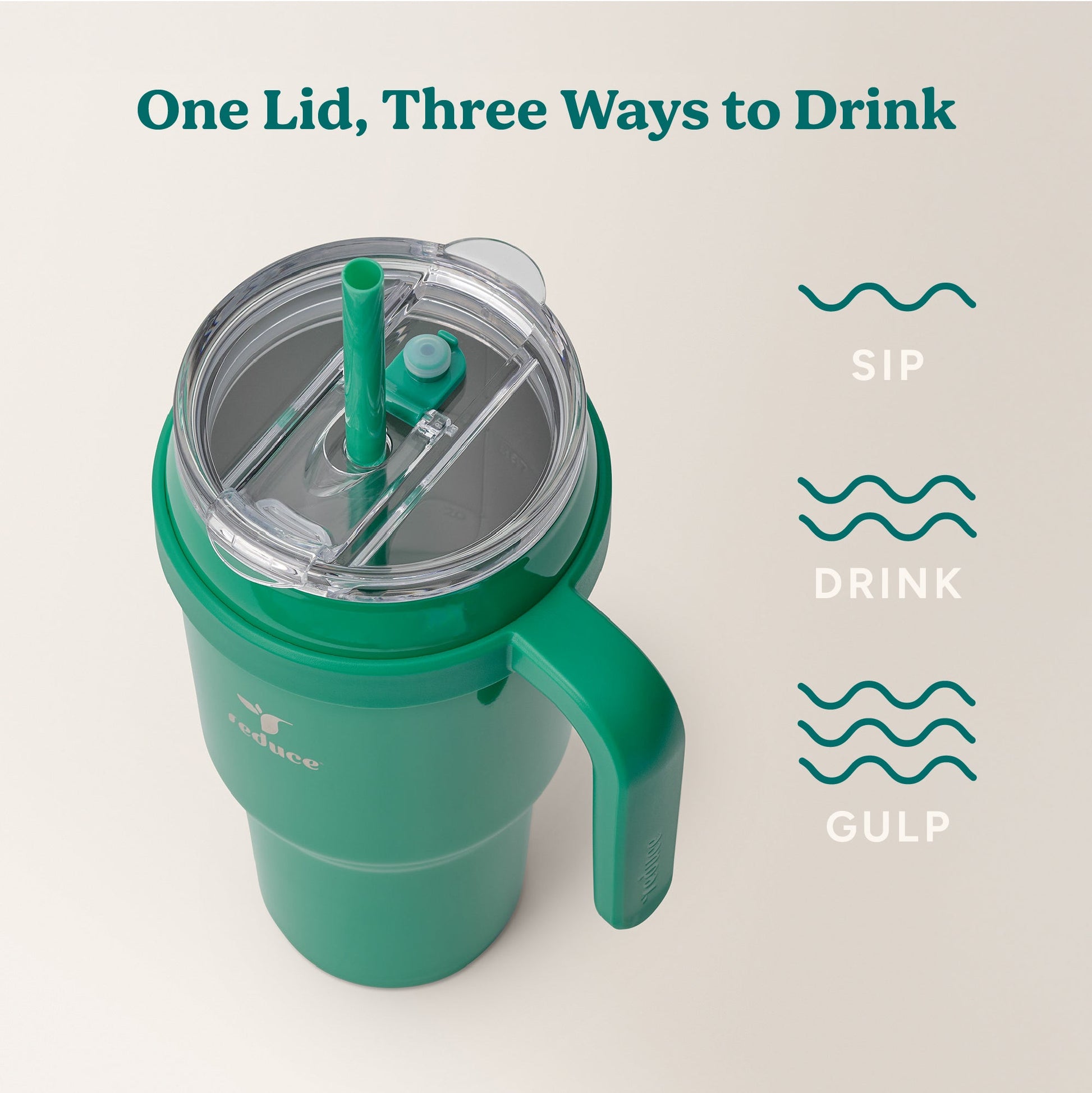cold1-40-oz-e4 Cold1_40oz_PalmLeaf_Infographic_3.jpg