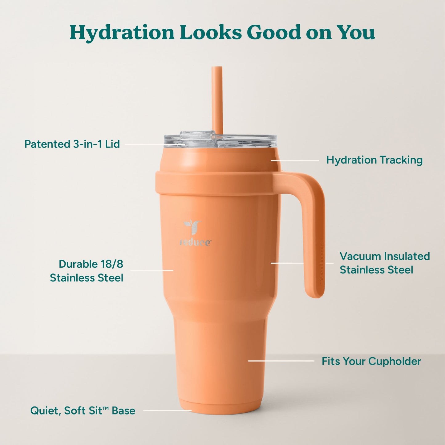 cold1-40-oz-e4 Cold1_40oz_Papaya_Infographic_2.jpg