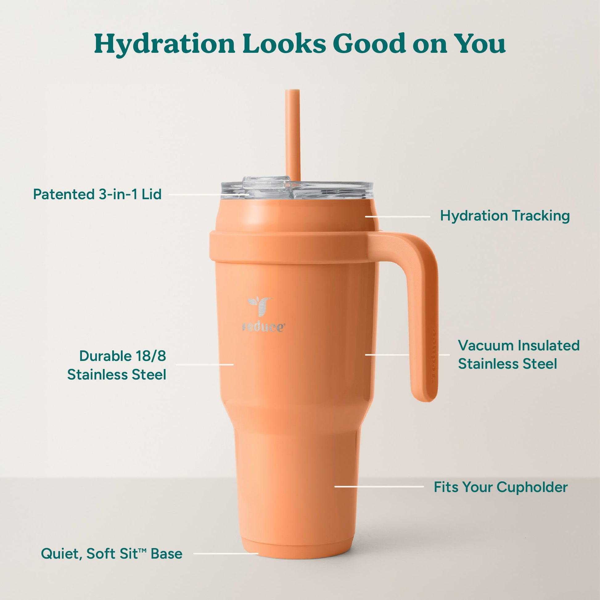 cold1-40-oz-e4 Cold1_40oz_Papaya_Infographic_2.jpg