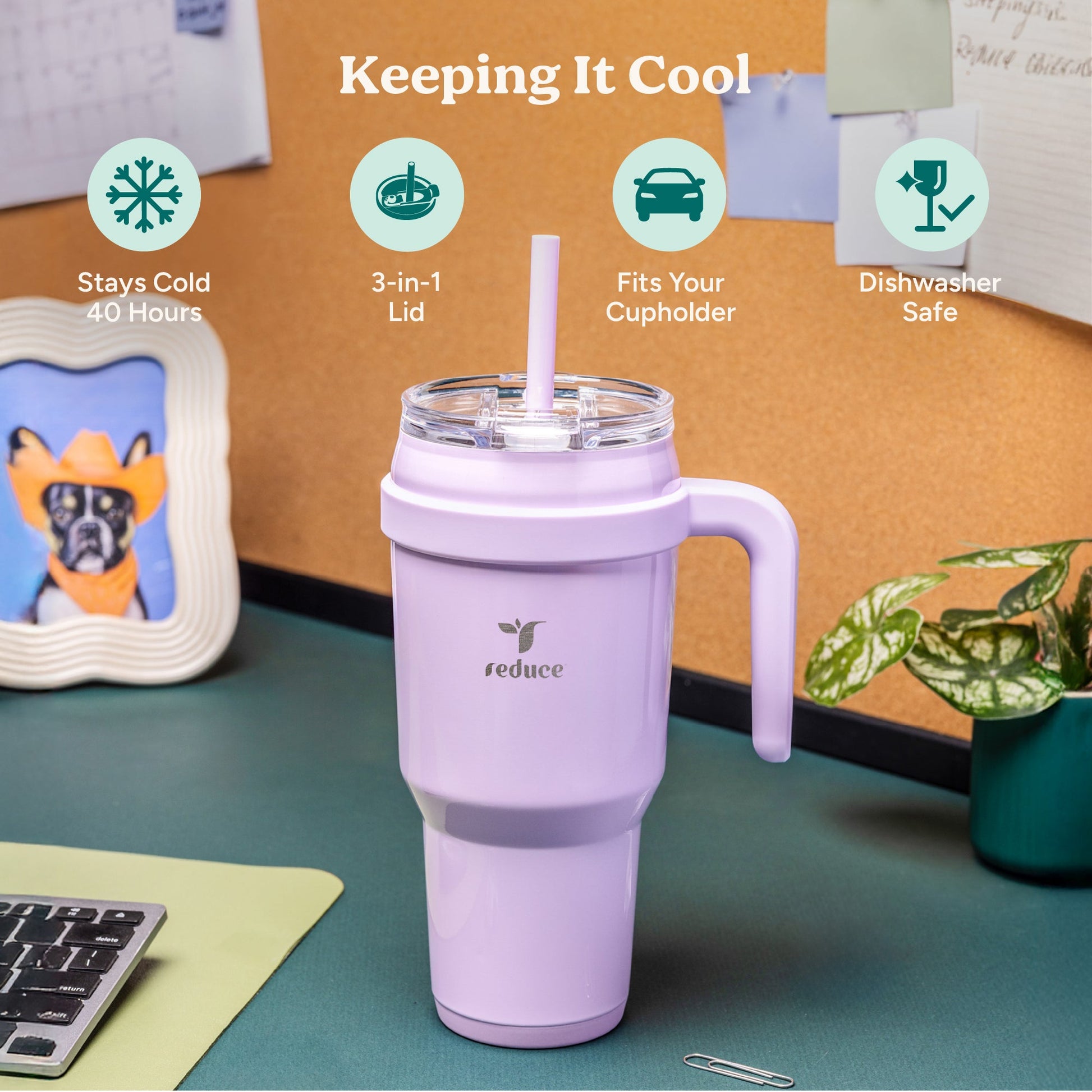 cold1-40-oz-e4 Cold1_40oz_Pineapple_Infographic_1.jpg