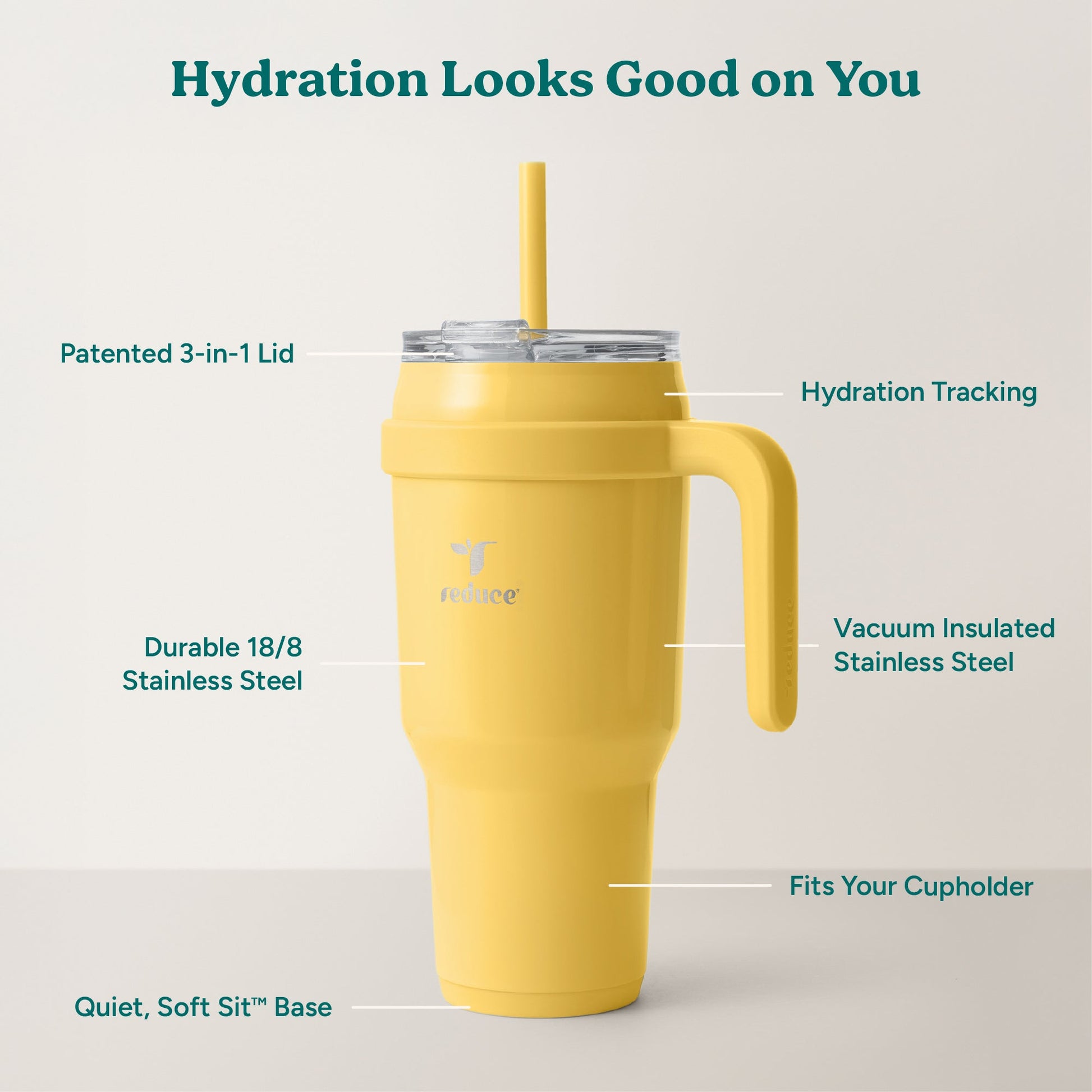 cold1-40-oz-e4 Cold1_40oz_Pineapple_Infographic_2.jpg